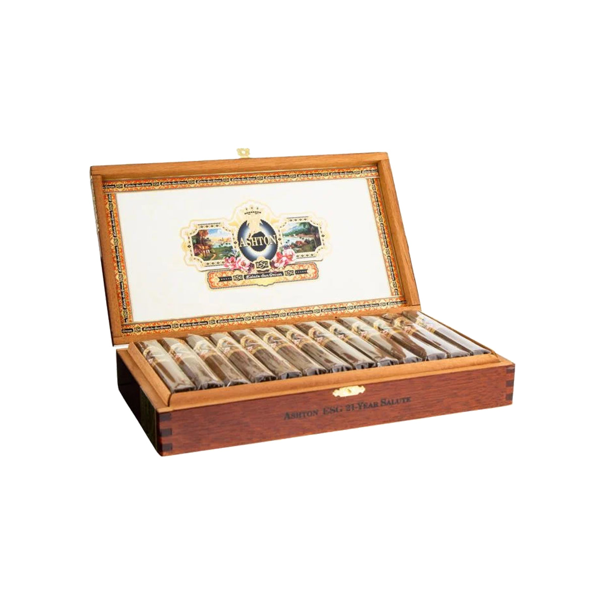 ESG 21 anni Robusto