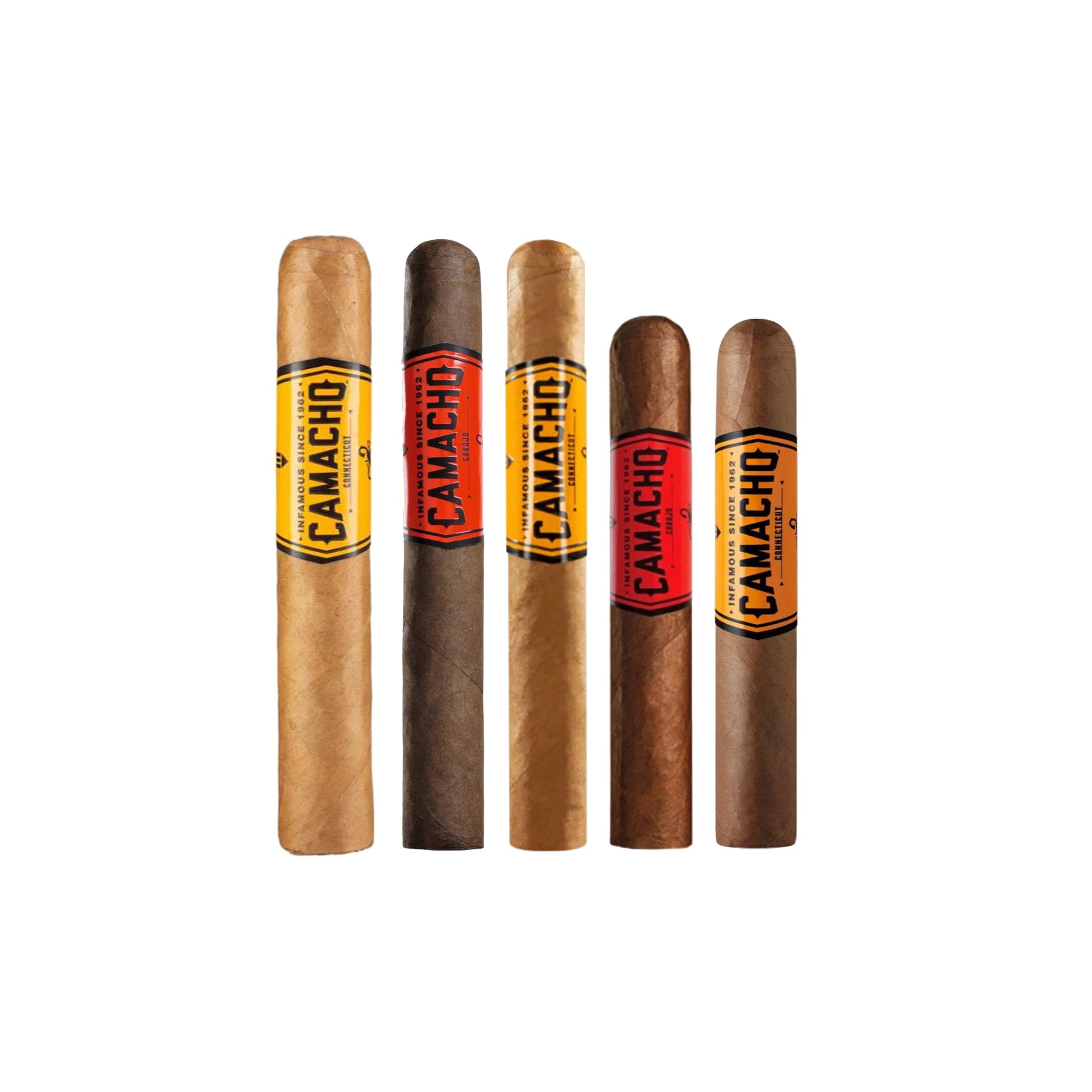 Campionatore Robusto