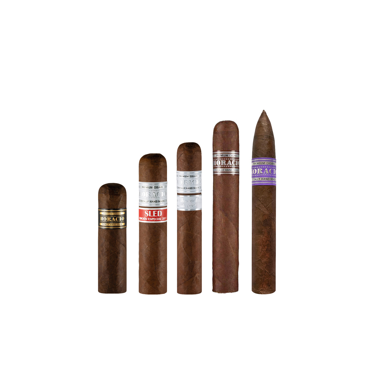 Campionatore Robusto
