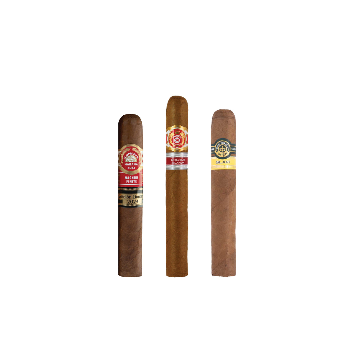 Campionatore Robusto
