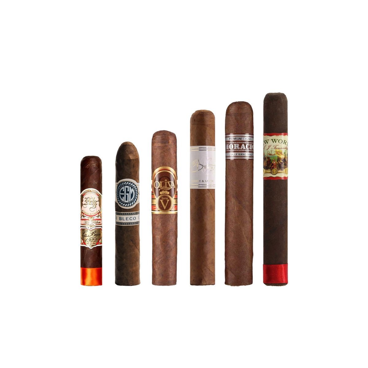 Campionatore Robusto