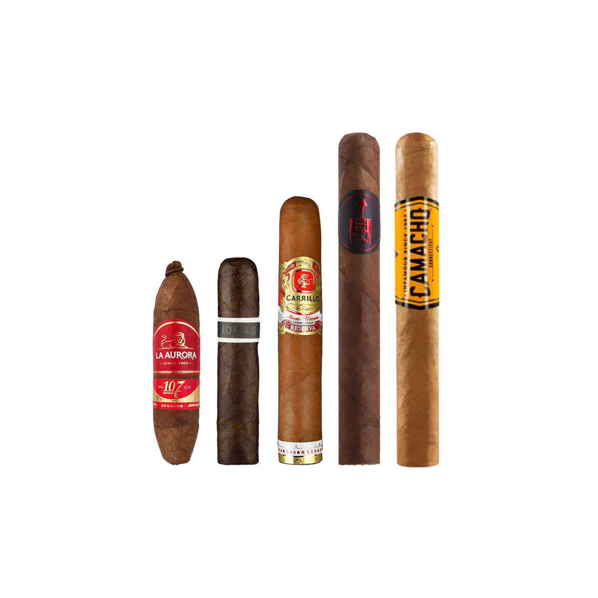 Campionatore Robusto