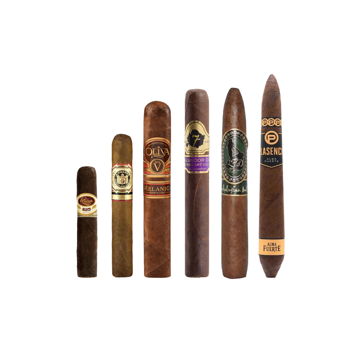 Campionatore Robusto