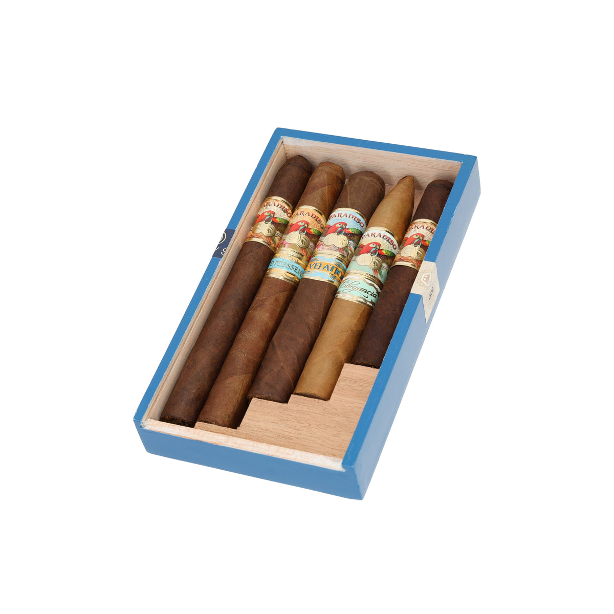Campionatore 6x60